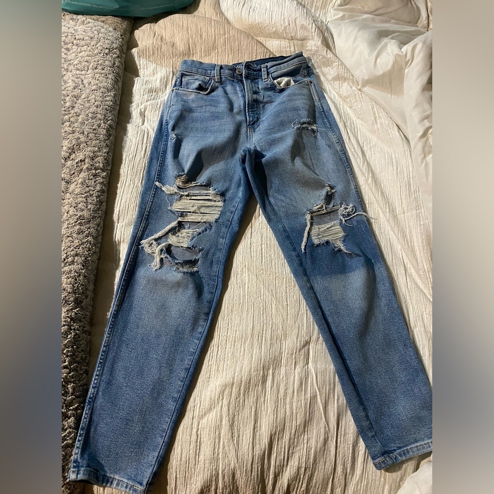 Arizona Jean Co size 9 highest-rise mom jeans